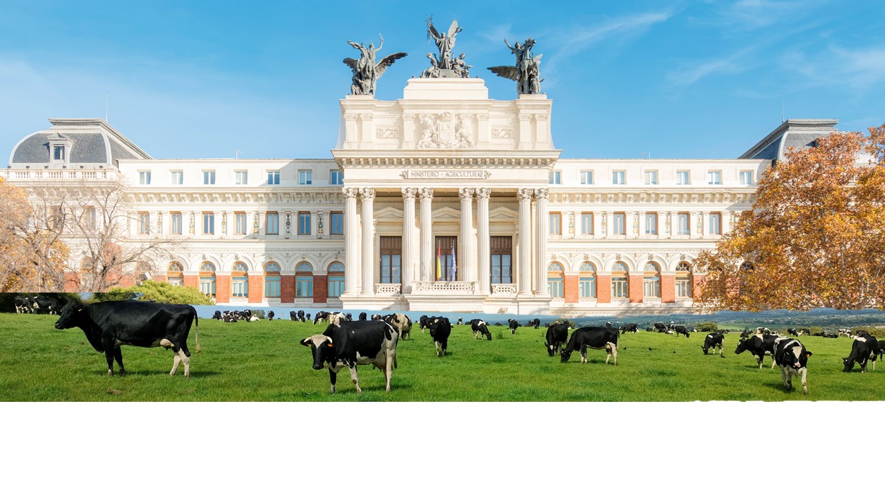 Excelentes resultados de nuestros egresados UCM en las oposiciones al Cuerpo Nacional Veterinario